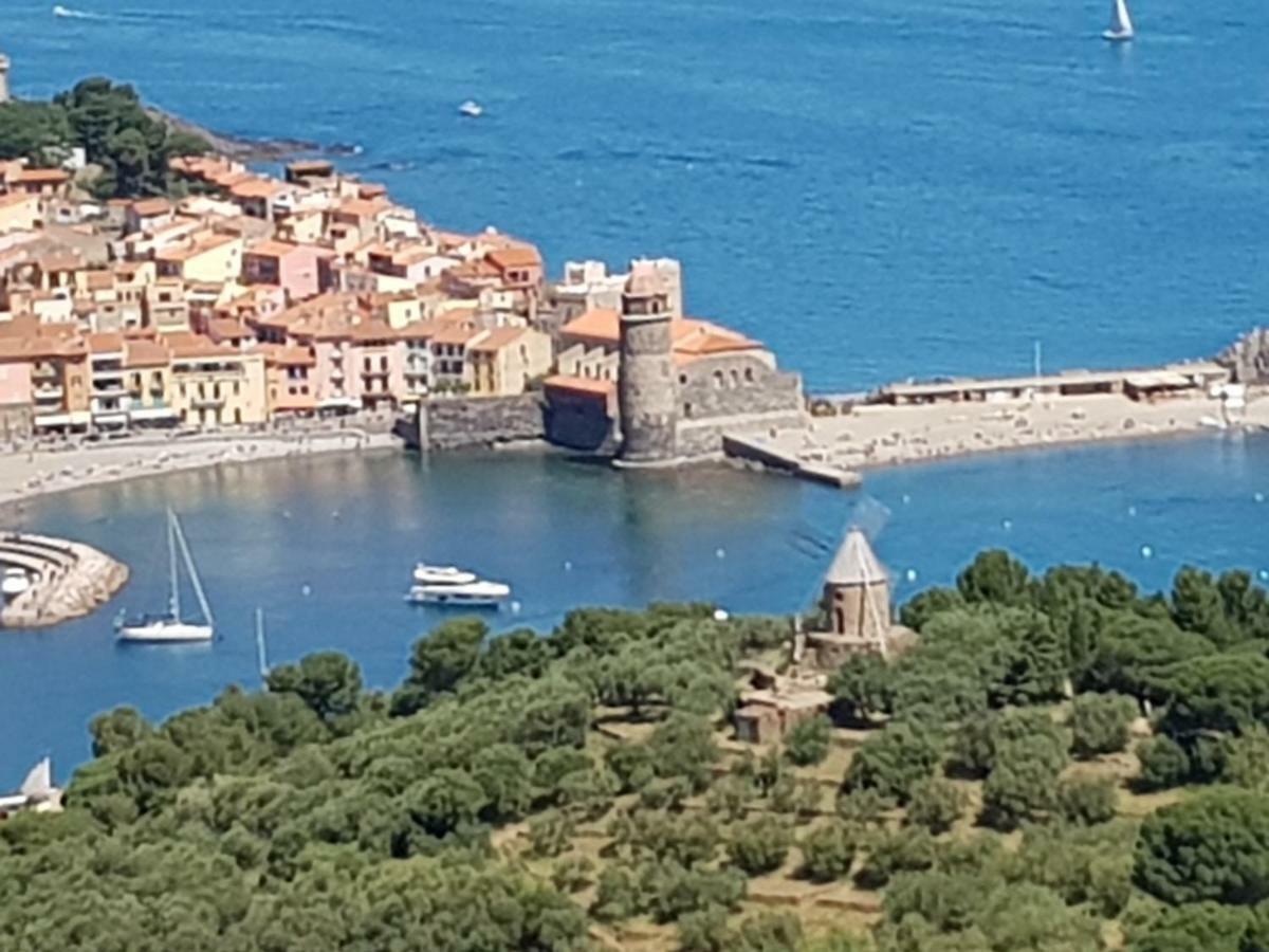 Appartement Charmant A Collioure Eksteriør billede